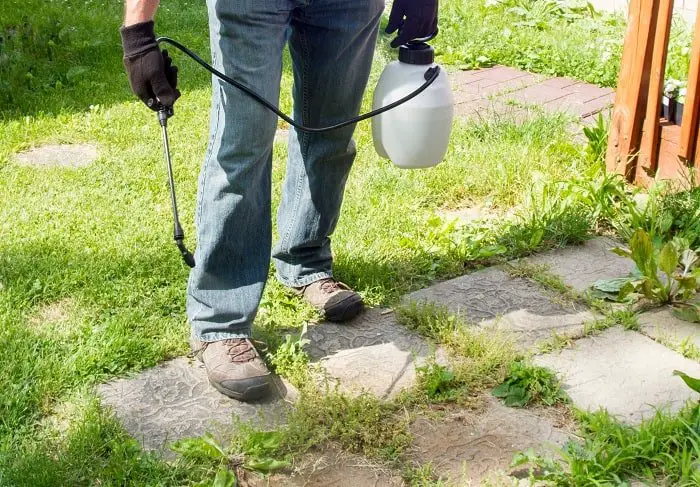 How to Stop Weeds Growing through Gravel