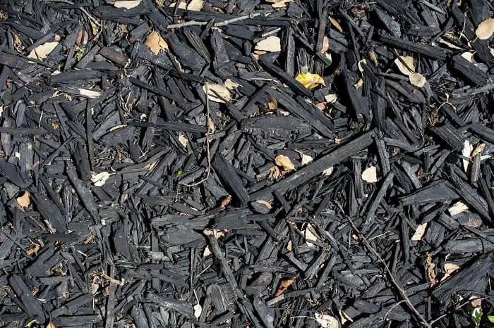 Pros and Cons of Black Mulch