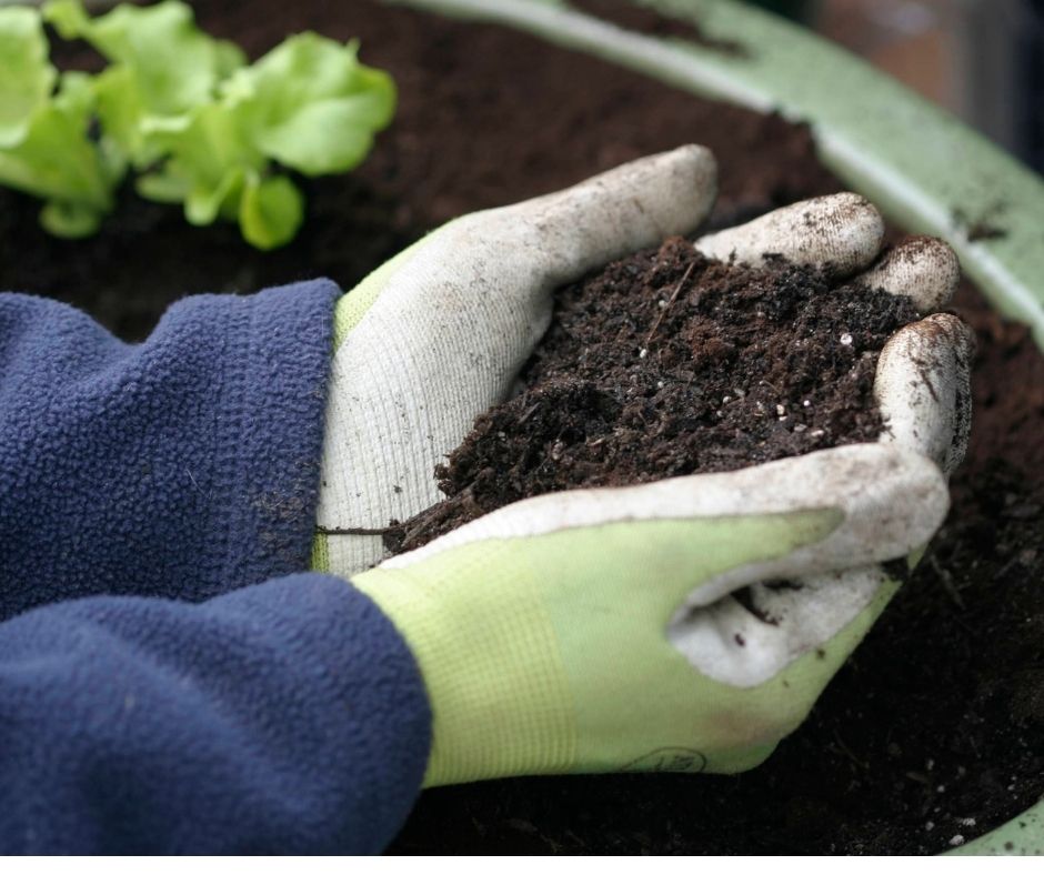 How Long Is Potting Soil Good for?