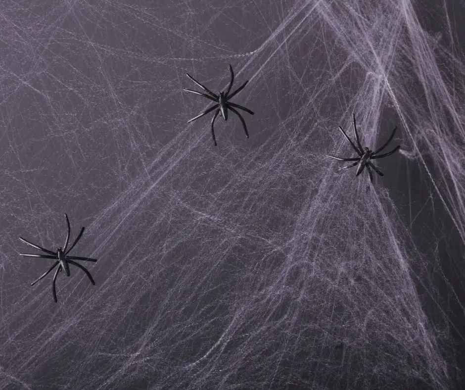 How to Put Up Spider Webs for Halloween?