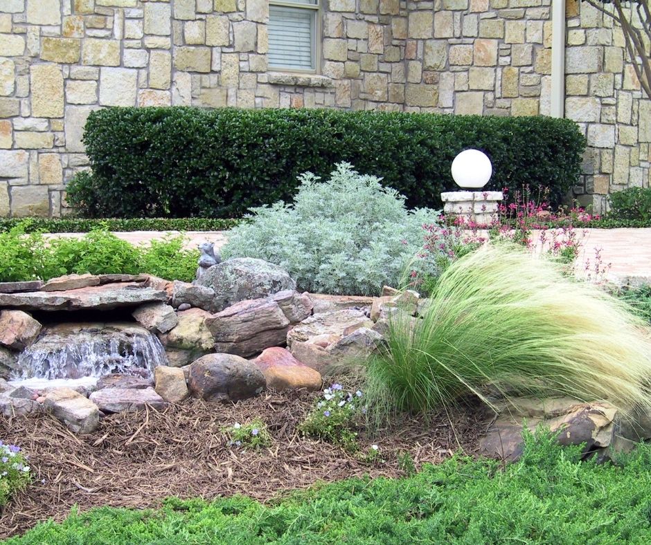 How to Xeriscape on a Budget?
