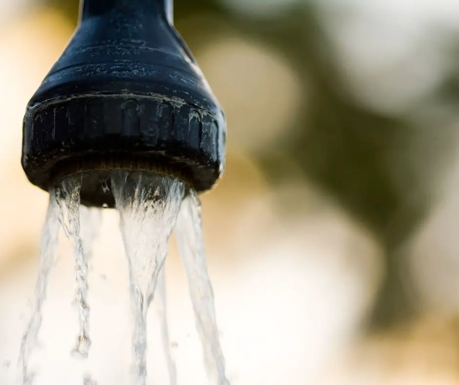 Moen Shower Head Water Restrictor Removal?