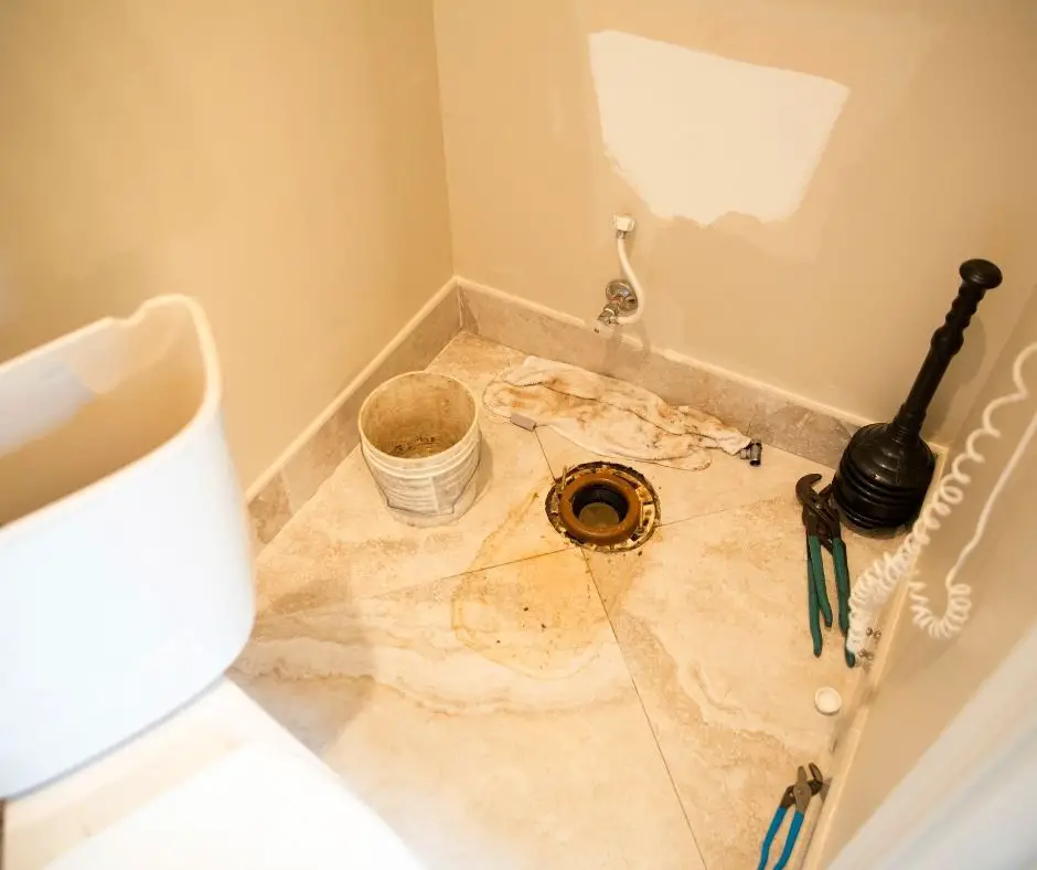 How Often Should You Replace Toilet?
